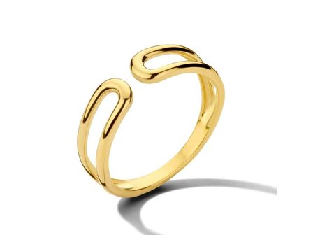 Ring Zirkonium - goud | You &amp; Me