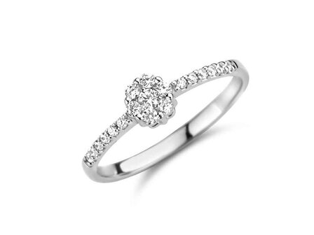 Ring zirkonium - goud | You &amp; Me