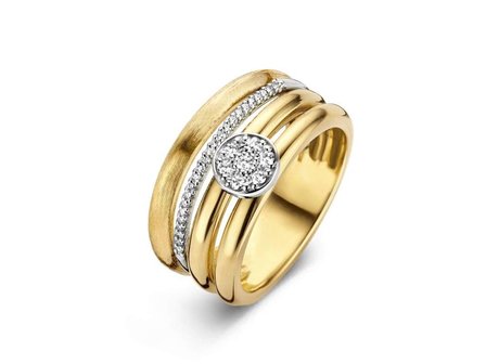 transformatie ring - goud | emotions