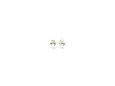 oorring - goud 14 kt | Blush