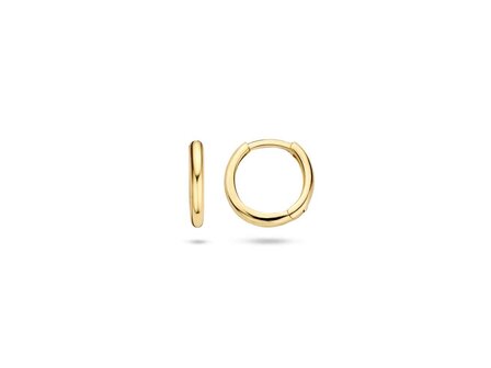 oorring - goud 14 kt | Blush