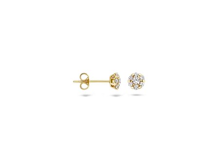 oorring - goud 14 kt | Blush