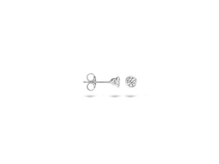 oorring - goud 14 kt | Blush