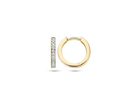 oorring - goud 14 kt | Blush
