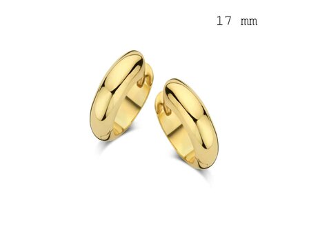 oorring - zilver | Naiomy