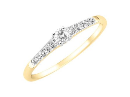 Ring - goud 18 kt met briljant | J&amp;A Collectie