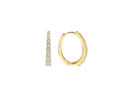 oorring - goud 14 kt | Blush