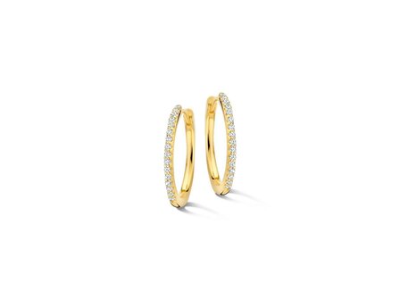 oorring - zilver | Naiomy