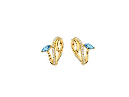 oorring - zilver | Naiomy