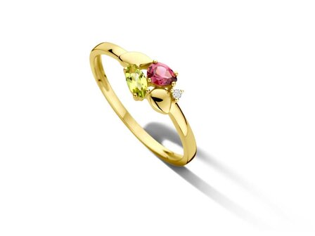 ring briljant - goud | You &amp; Me