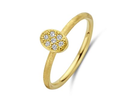 transformatie ring - goud | emotions
