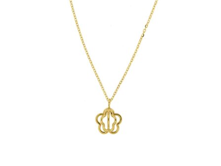 ketting - goud | Taste of Luxury