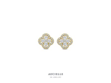 oorring zirkonium - goud | Aucielle