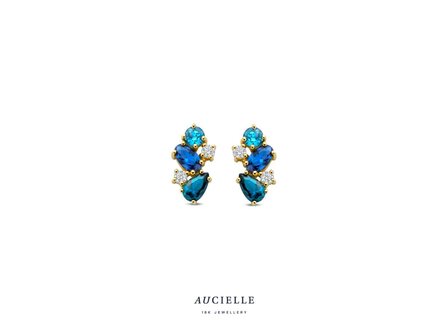 oorring - goud | Aucielle