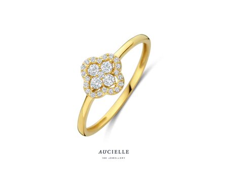Ring Zirkonium - goud | Aucielle