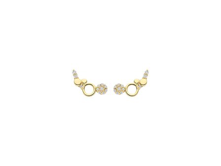 oorring - goud 14 kt | Blush