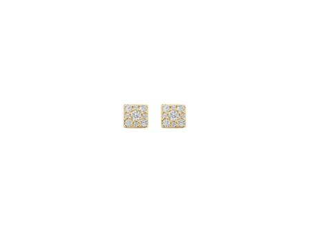 oorring - goud 14 kt | Blush