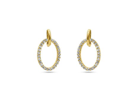 oorring zirkonium - goud | Buffilor