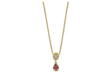 transformatie collier - goud | emotions