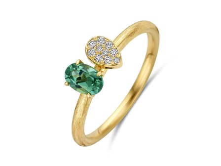 transformatie ring - goud | emotions