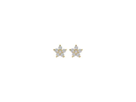 oorring - Blush LAB Diamond | 14 kt LAB Diamond