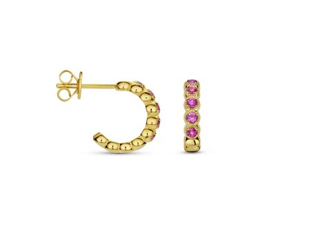 oorring - zilver | Naiomy
