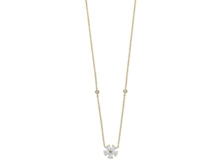 Ketting - zilver | Silverrose