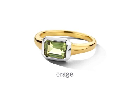 ring - plaque | Orage