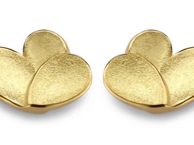transformatie oorring - goud | emotions