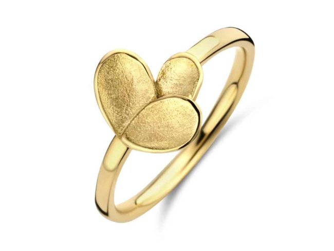 transformatie ring - goud | emotions