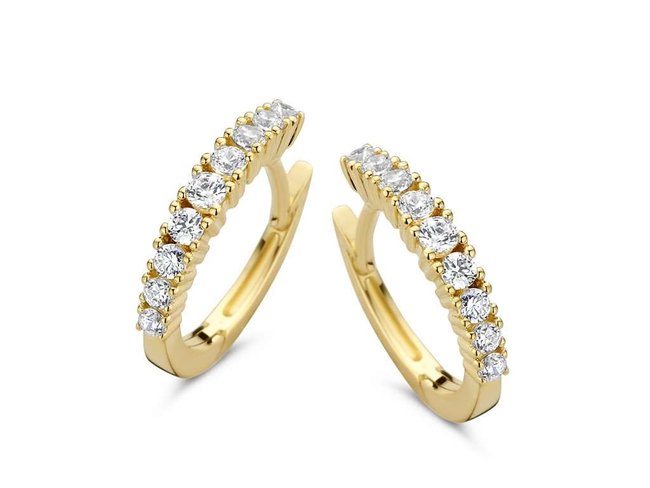 oorring zirkonium - goud | You & Me