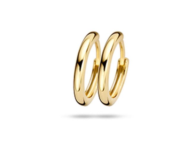 oorring - goud 14 kt | Blush
