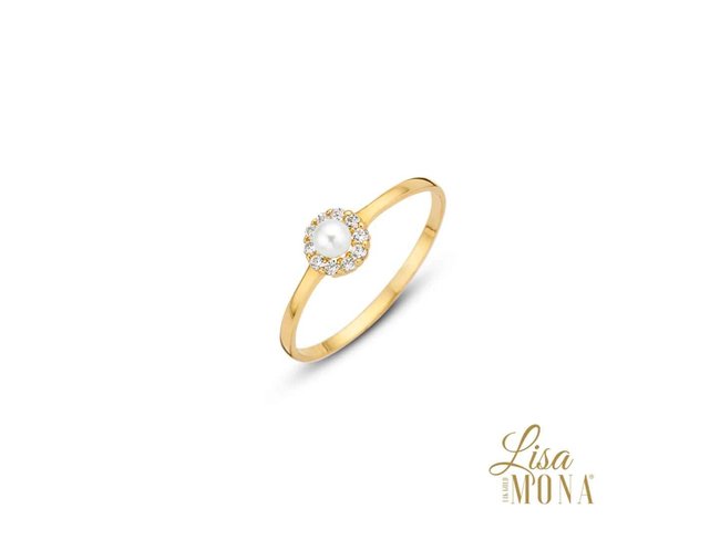 Ring Zirkonium - goud 14 kt | LisaMona