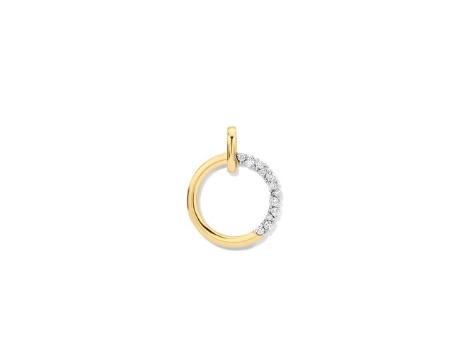 hanger briljant - goud | Taste of Luxury