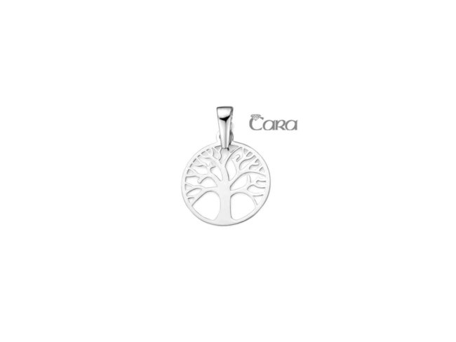hanger - goud | CARA
