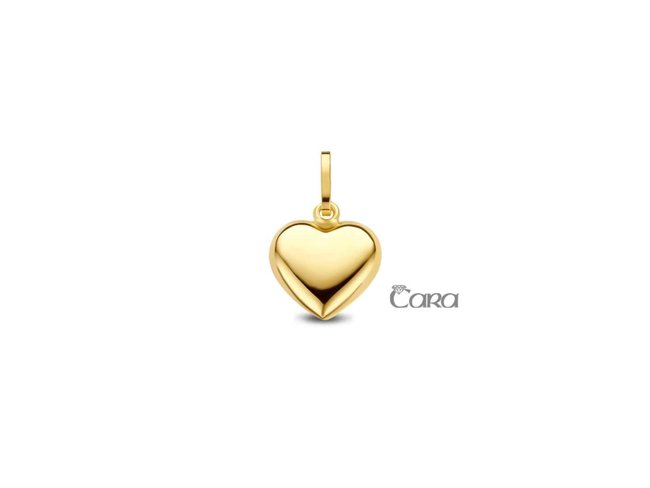 hanger - goud | CARA