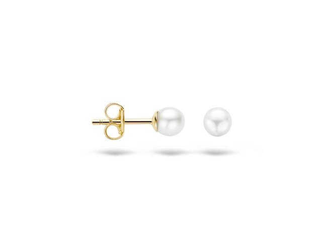 oorring - goud 14 kt | Blush