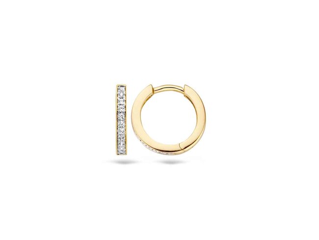 oorring - goud 14 kt | Blush