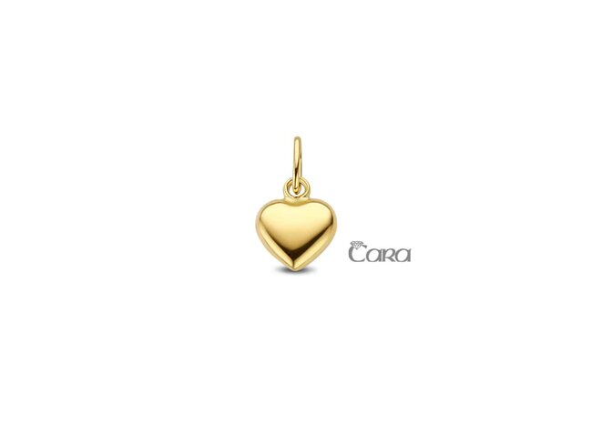 hanger - goud | CARA