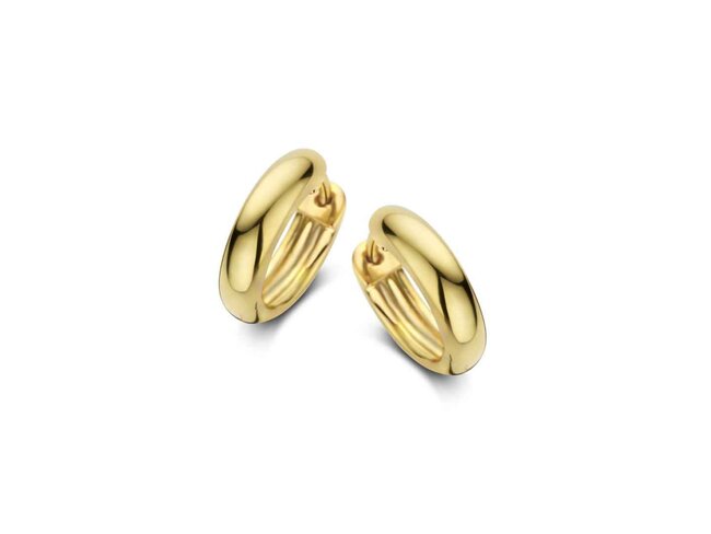 oorring - zilver | Naiomy