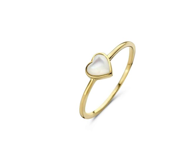 ring - zilver | Naiomy