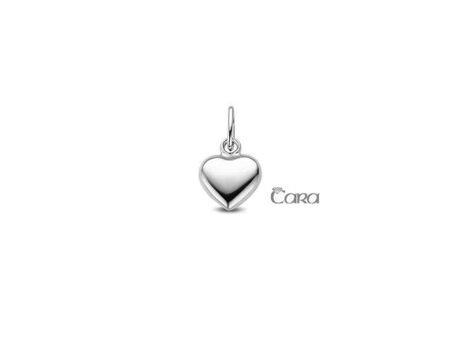 hanger - goud | CARA