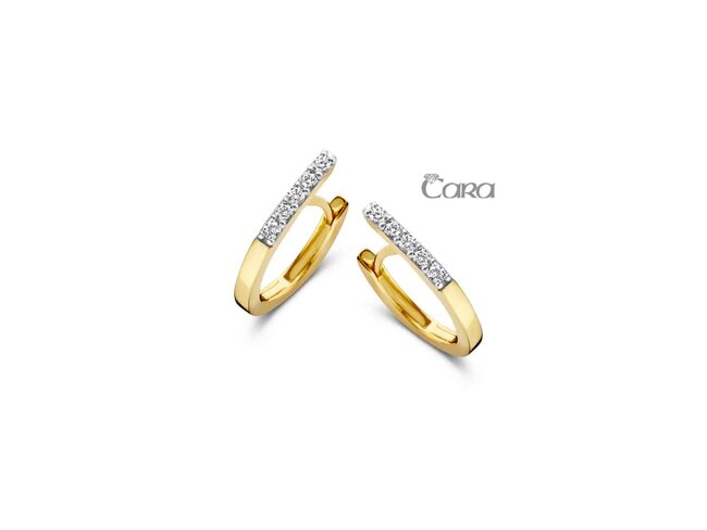 oorring zirkonium - goud | CARA