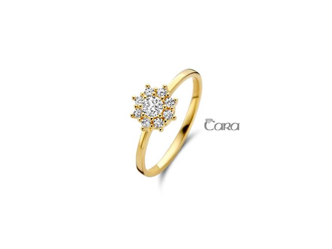 Ring Zirkonium - goud | CARA
