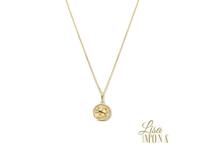 ketting - goud 14 kt | LisaMona