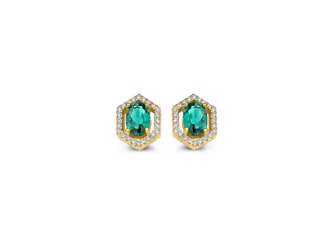 oorring - zilver | Naiomy