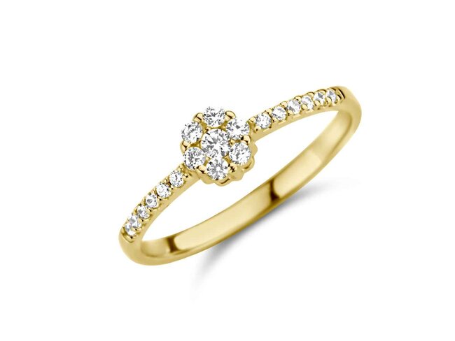 Ring zirkonium - goud 18 kt met zirkonium | You & Me