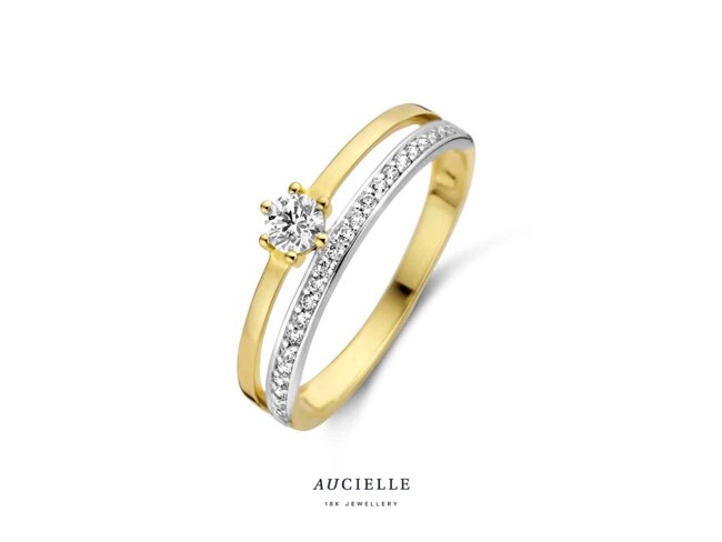 Ring Zirkonium - goud | Aucielle