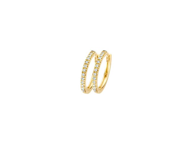 oorring - goud 14 kt | Blush