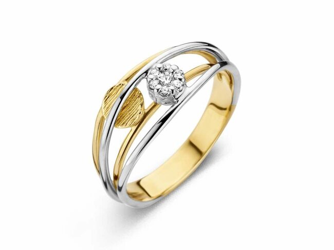 transformatie ring - goud | emotions